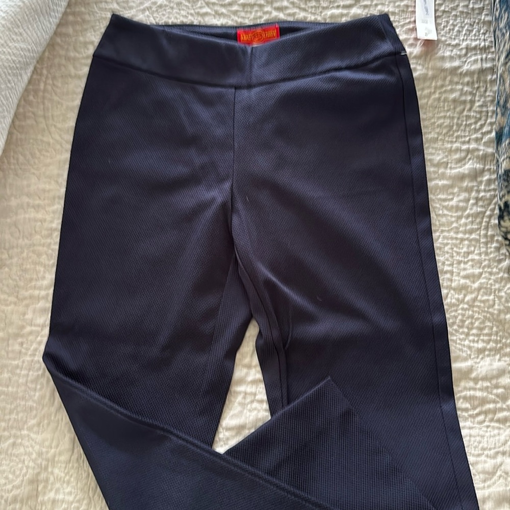 Womens Crazy Larry Pull On Ankle Pants Size 6